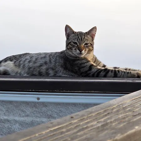 Σπίτι διακοπών Etoile Arc-en-ciel