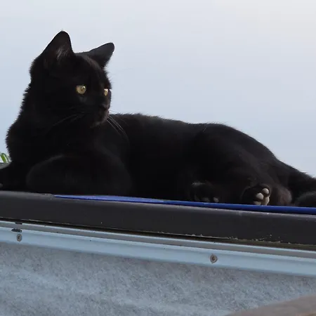 Etoile Arc-en-ciel Σπίτι διακοπών